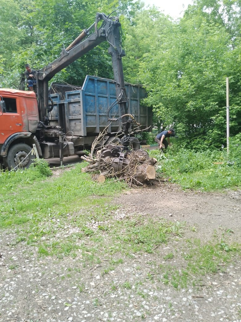 Вывоз веток по адресу ул. Кауля д.7 корпус 3
