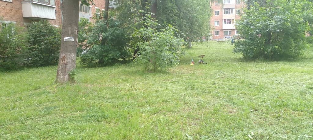 Окос территории по адресу ул. Баженова д. 12А